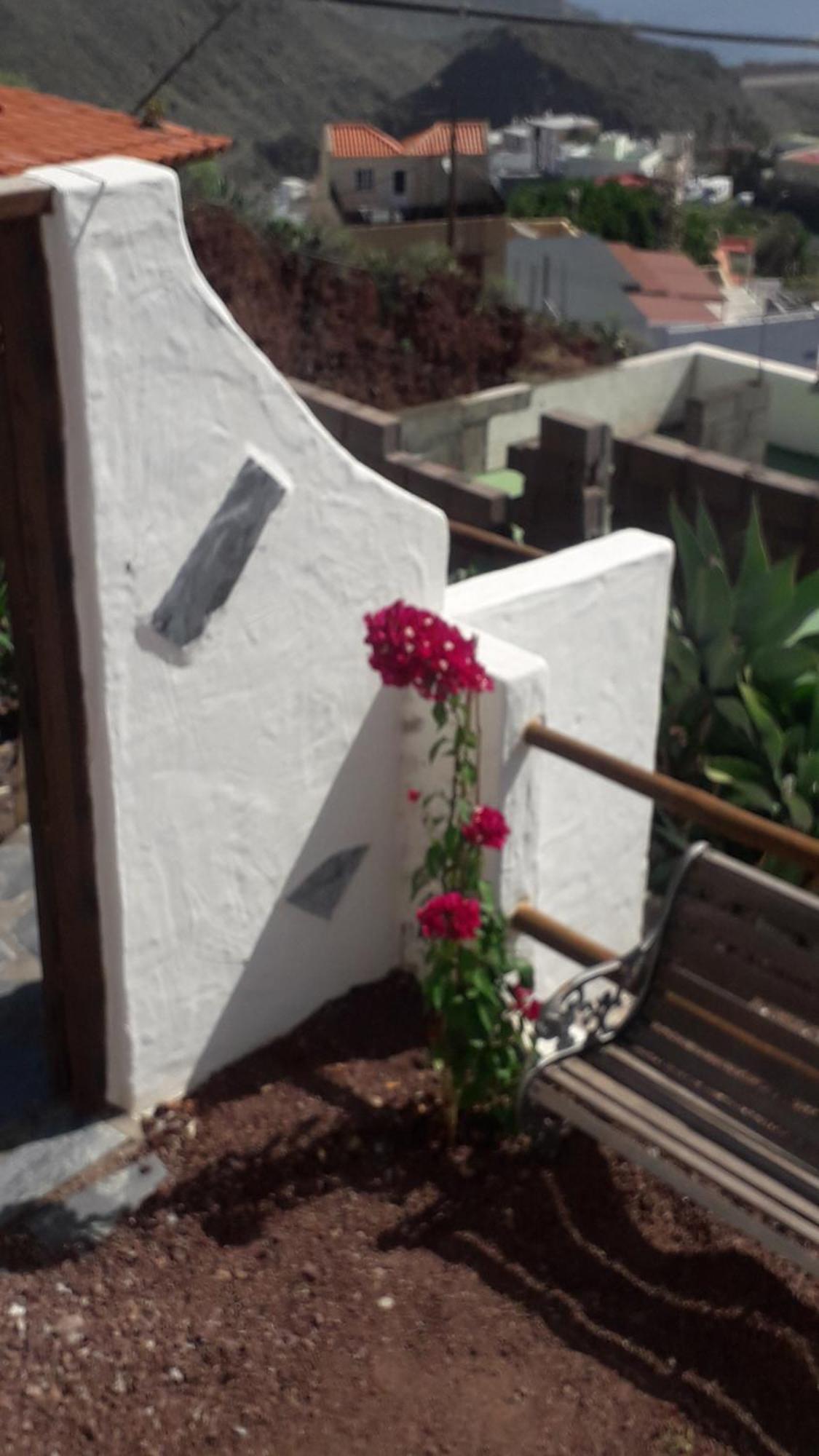 Nueva Casa Rural Piscina Privada سانتا كروز دي تينيريف المظهر الخارجي الصورة